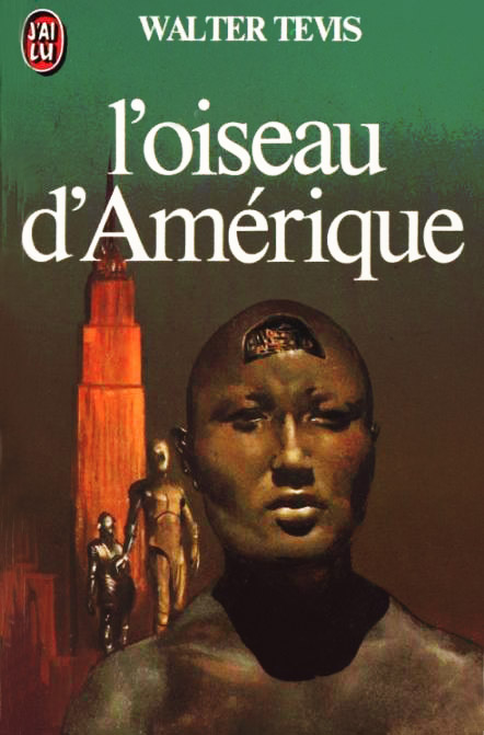 Oiseau D Amerique
