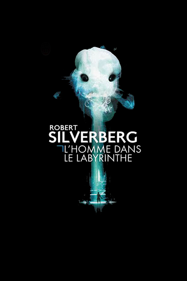 L'Homme Dans Le Labyrinthe
