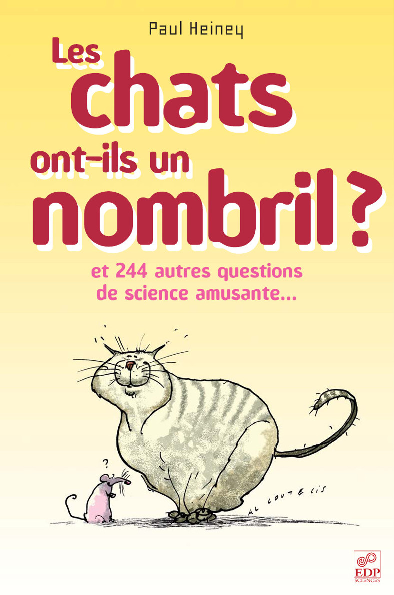 chats ont-ils un nombril ?